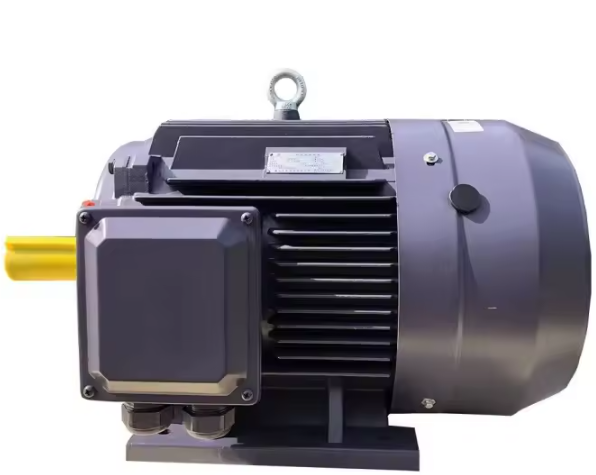 Y2 series motor