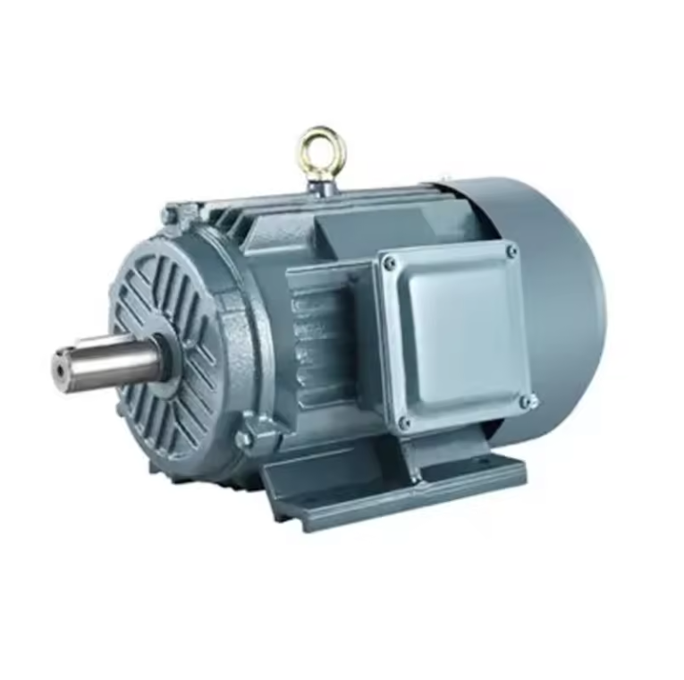 Y series motor